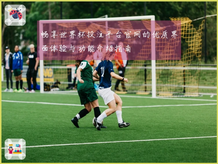 畅享世界杯投注平台官网的优质界面体验与功能介绍指南