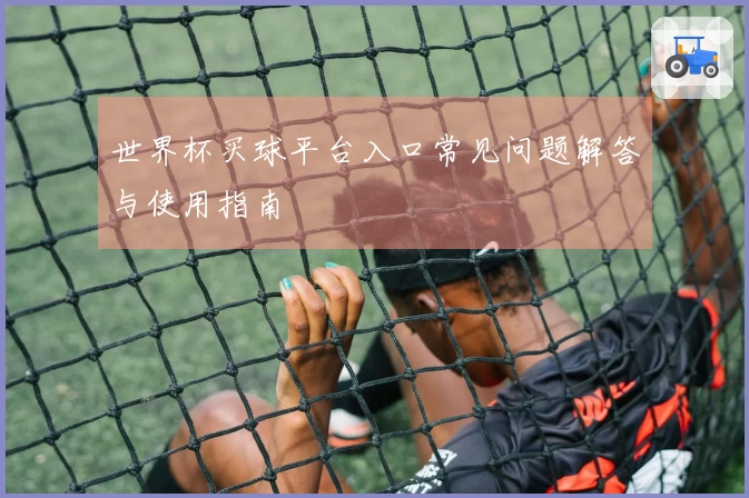 世界杯买球平台入口常见问题解答与使用指南